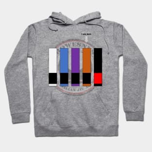 Brown Belt (I am here) Hoodie